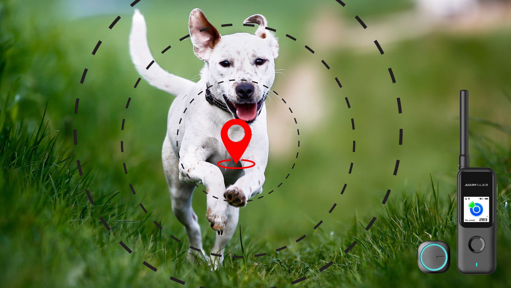 Why Pet Owners Should Invest in Dog GPS Trackers?